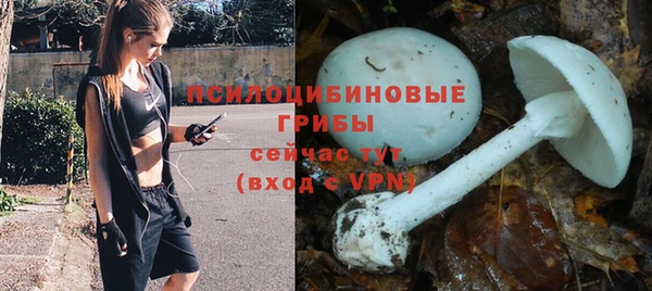 кокс Алексин