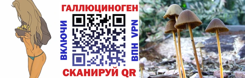 Галлюциногенные грибы мицелий Джанкой