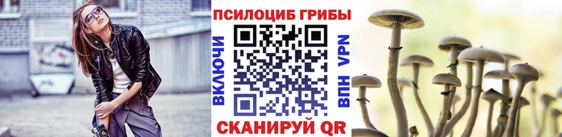 Псилоцибиновые грибы GOLDEN TEACHER kraken ONION Джанкой